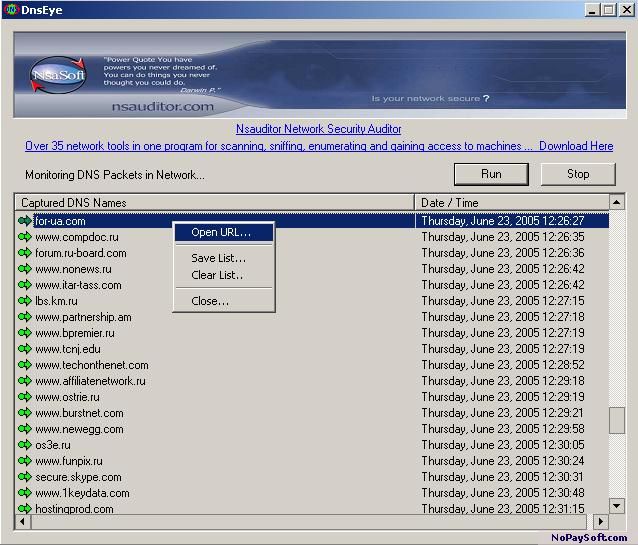 DnsEye 1.1 program screenshot